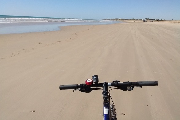 Bicycle on Sellicks Beach in South Australia. (photo: ulrike.ca)