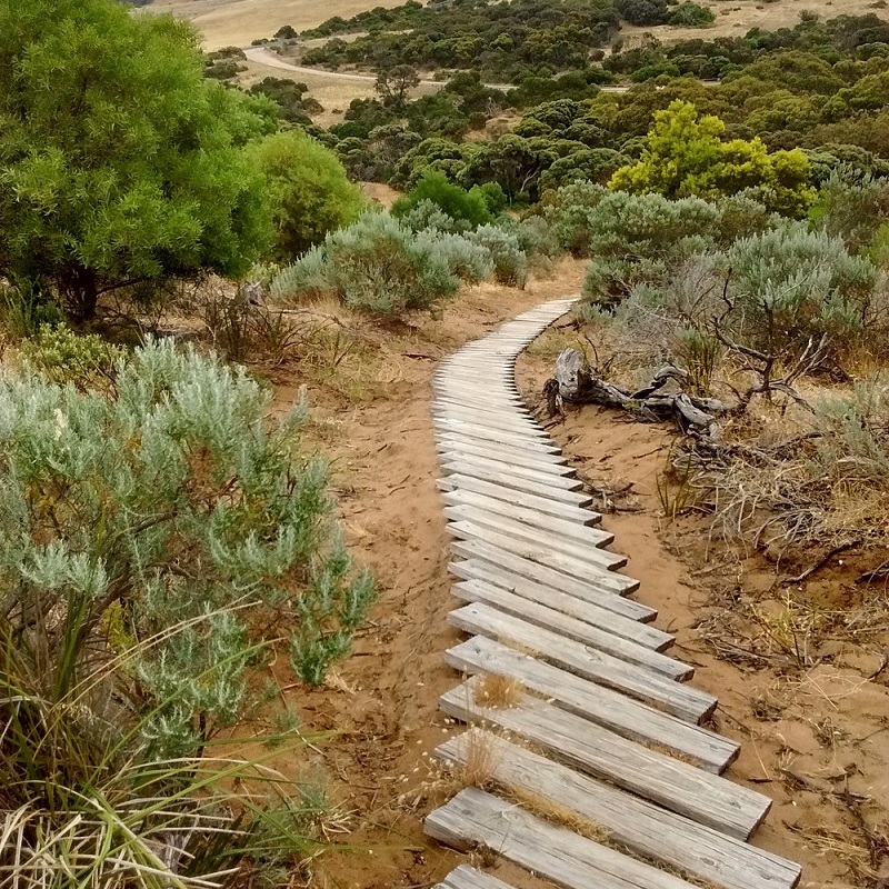Boardwalk on Heysen Trail near Newland Head Conservation Park in South Australia.