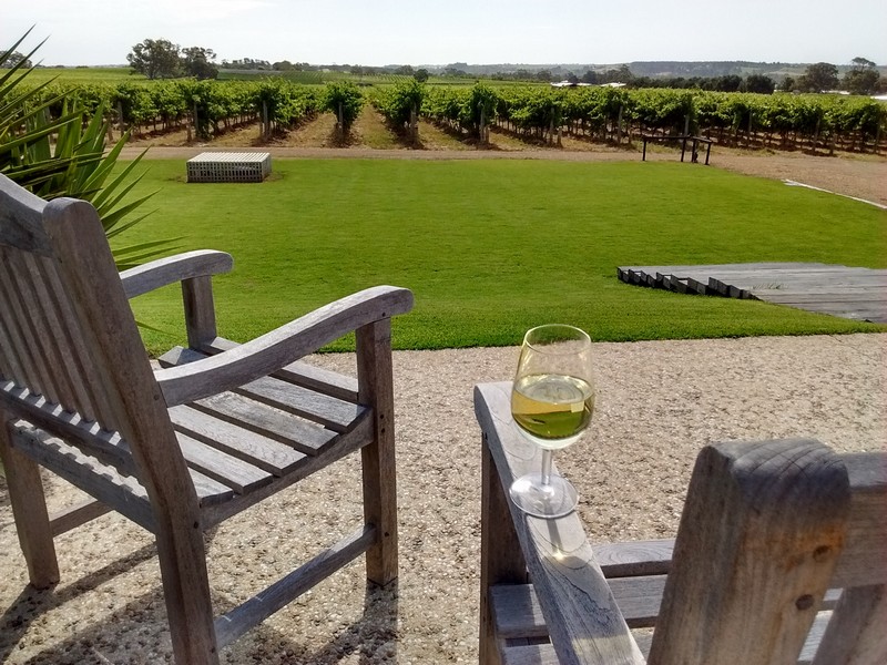 Glass of Moscato wine at the Kangarilla Road winery near McLaren Vale, South Australia.