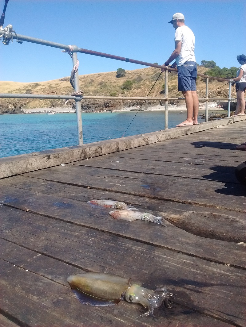 Squid fishers at Second Valley Beach in South Australia. (photo: ulrike.ca)