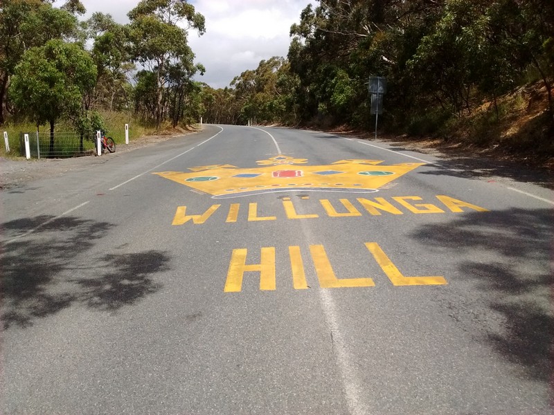 Queen of the mountain: the crest of the Willunga Hill in South Australia.