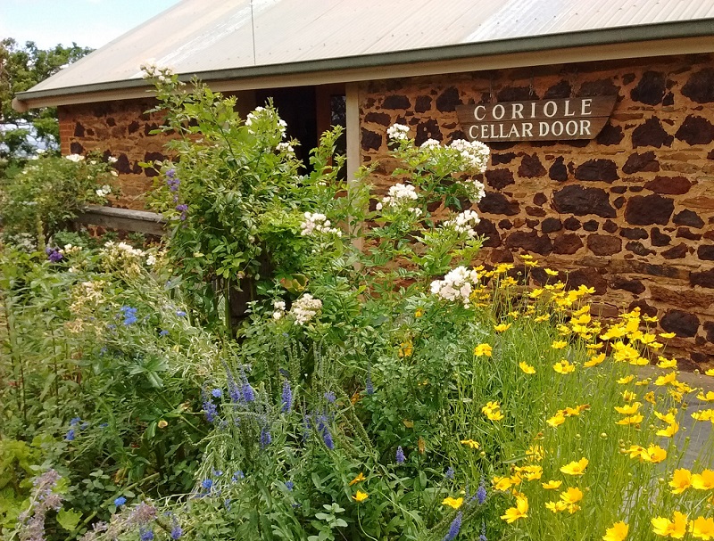 Coriole Cellar Door winery in McLaren Vale area, South Australia.