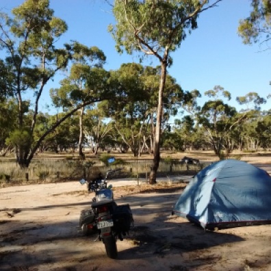 The motorcycle and tent in scrubby bush in Little Desert National Park, Australia.